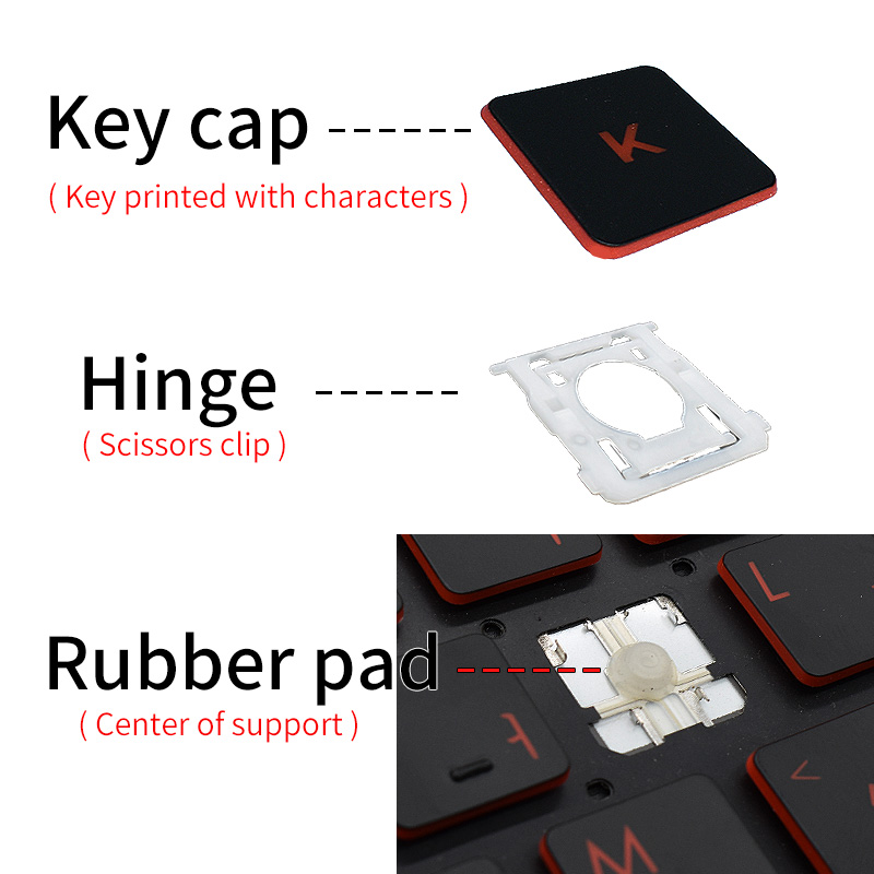 Tasti di Ricambio con Cerniera - Rtx 3090 24Gb Gddr6X recensione e prezzo